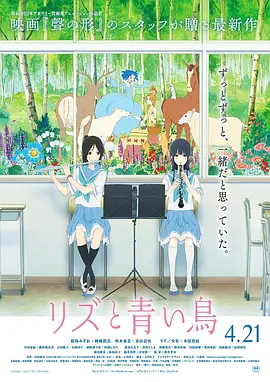 日韩成人午夜
