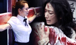 上海一家人电视剧免费观看